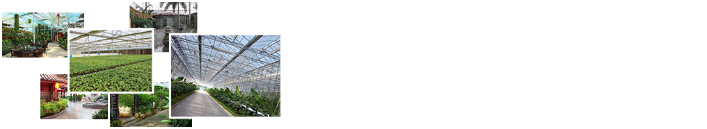 24小時(shí)免費(fèi)咨詢、免費(fèi)技術(shù)指導(dǎo)